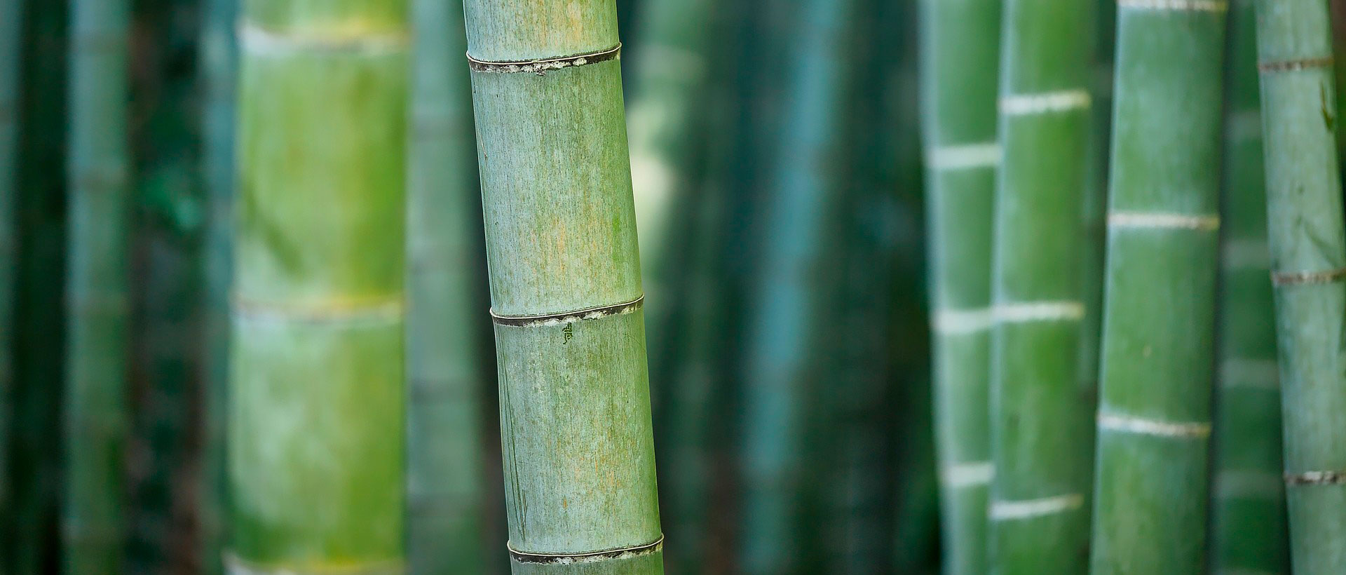Les mélanges modernes